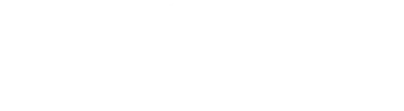 Logo 40